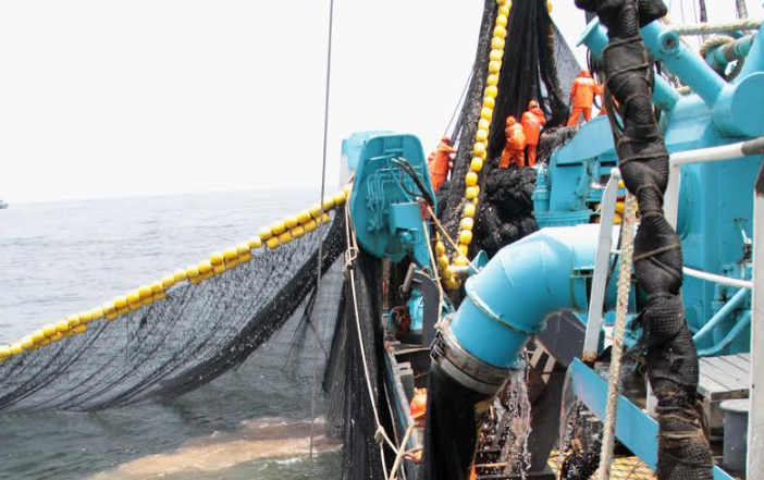 Produce establece límite de captura de la caballa en 110,000 toneladas