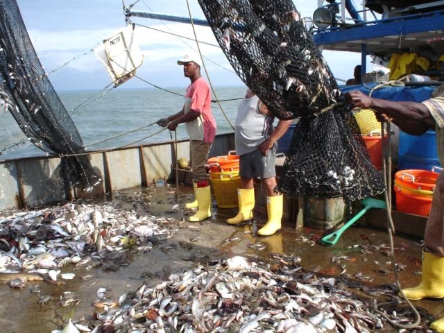 Suspenden pesca de anchoveta por cinco días en La Libertad