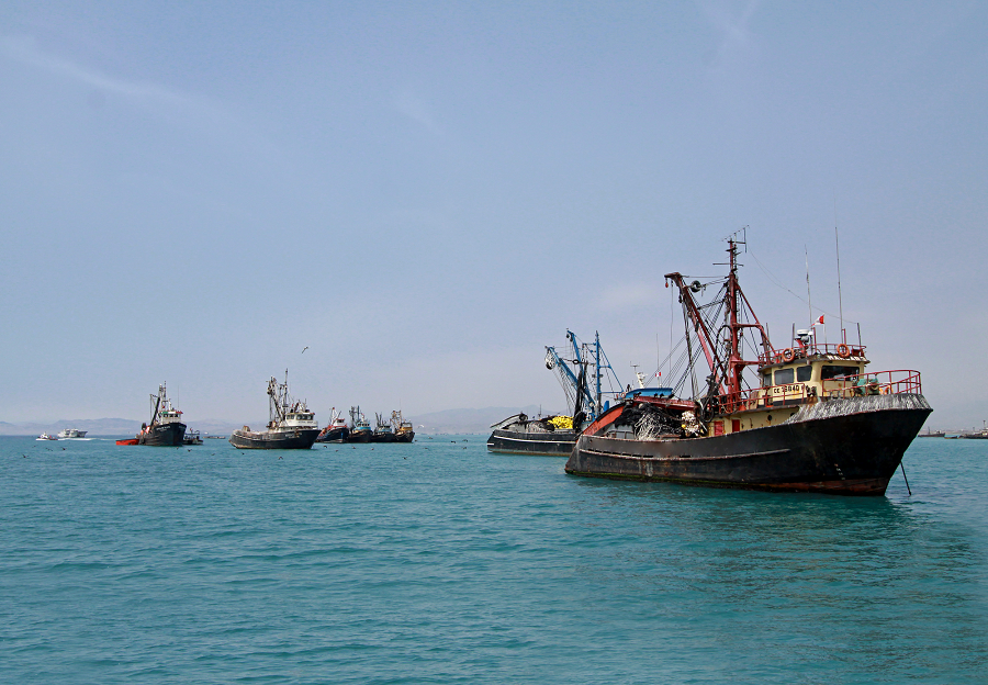  Soporte y ayuda social de industria pesquera ante covid-19 sumó S/ 17.6 millones