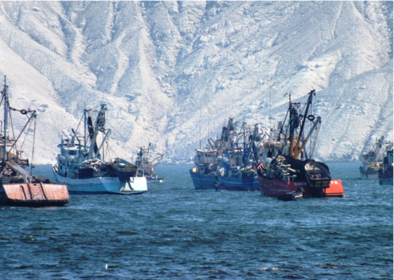 Produce estableció medidas para armadores de naves pesqueras atuneras extranjeras