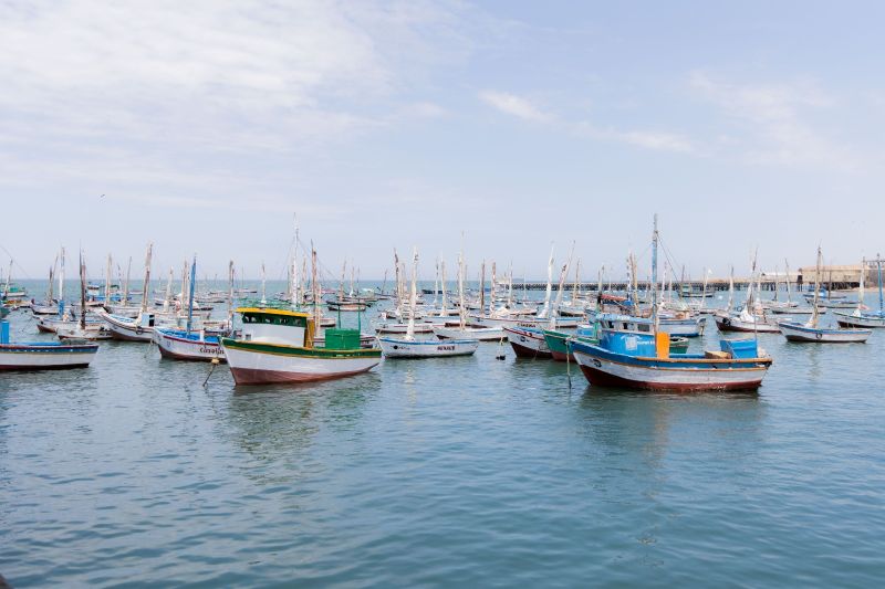 Créditos extraordinarios con 0% de interés a pescadores artesanales del Fondepes  