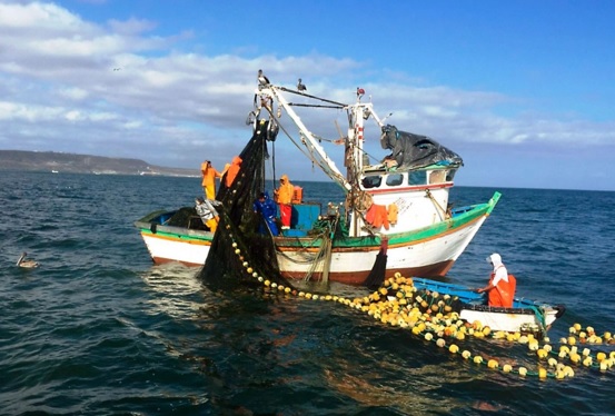 Desembarque pesquero en Perú creció más de 17% en octubre del 2022 