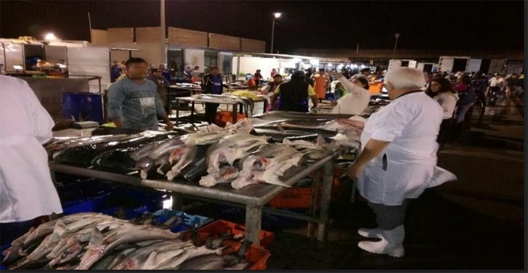 Municipalidad retira pescado en mal estado de terminal pesquero de Trujillo