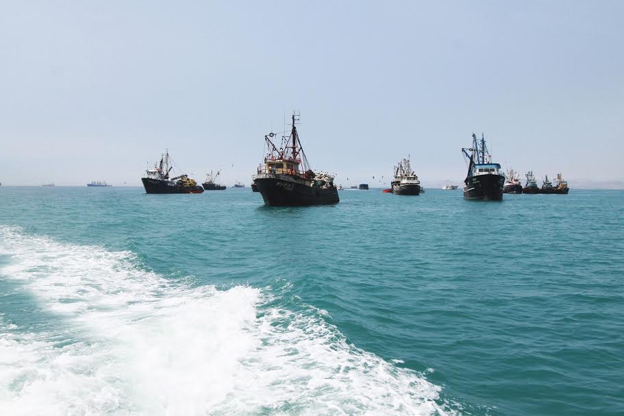  Extracción de anchoveta superó el 30% de la cuota establecida, según Produce