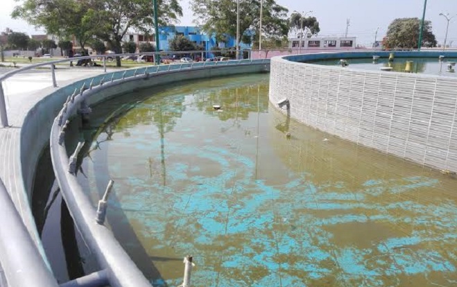 Pileta de Florencia de Mora se convierte en foco infeccioso del dengue