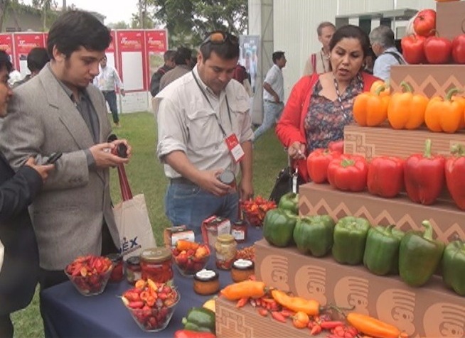 Trujillo: Ajíes y pimientos peruanos conquistan en mundo