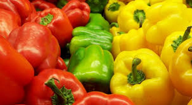 Dan excelentes pronósticos para exportación de pimiento peruano  