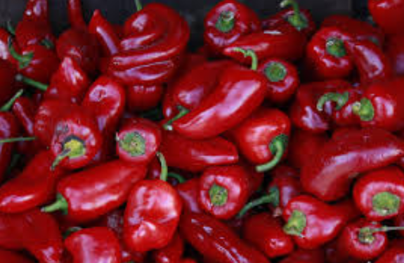 Trujillo será sede de la 23° Conferencia Internacional de Peppers