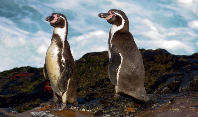 Conoce las áreas naturales protegidas que permanecerán cerradas hasta el 28 de febrero