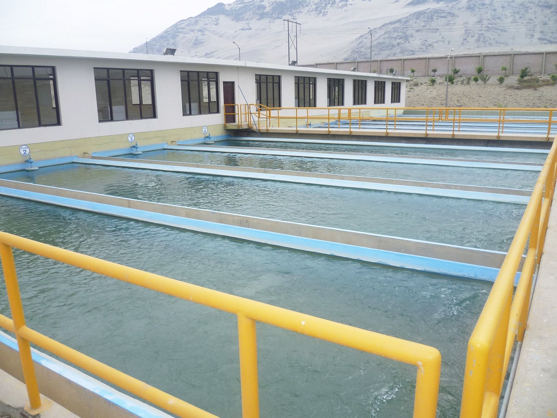 Terminó mantenimiento de planta de tratamiento de agua potable de Trujillo