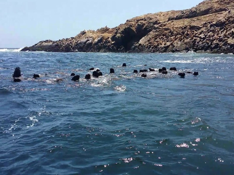 Áreas naturales protegidas de regiones en riesgo alto atenderán al 50% de aforo