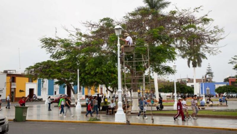 Trujillo: Dirección de Cultura desistirá de denuncias contra la MPT por daños al patrimonio cultural