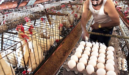 Onpe realizó prueba de esfuerzo en sus 29 centros de cómputo 