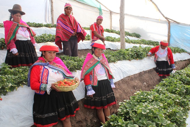 Mujeres empoderadas lideran el cambio en comunidades rurales con proyectos productivos 