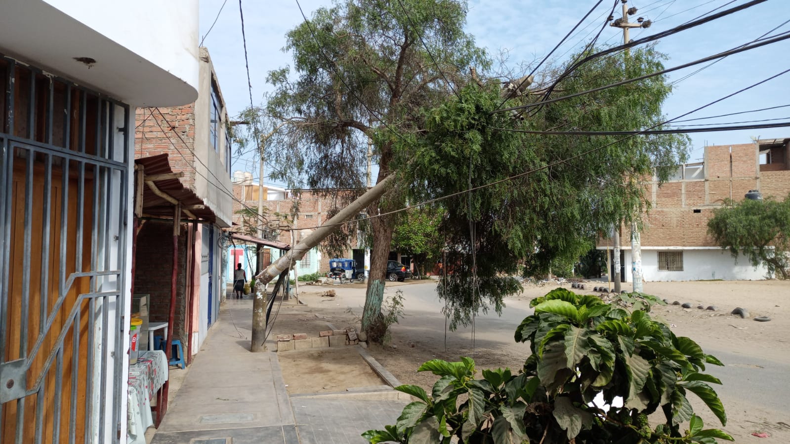 La Esperanza: camión derriba postes de telefonía y deja incomunicado a todo un barrio