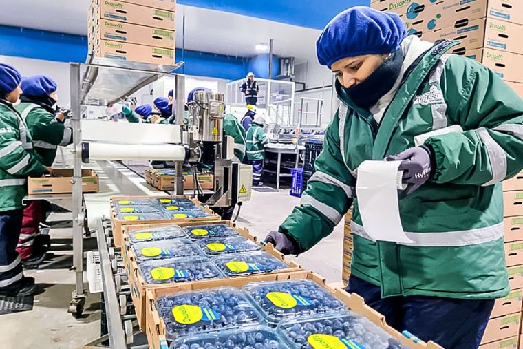 Premier destaca crecimiento sostenido de PBI y avances en sectores económicos claves