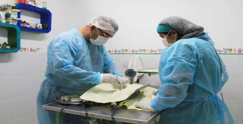 Trujillo: inscriben para campaña de esterilización gratuita de mascotas en abandono