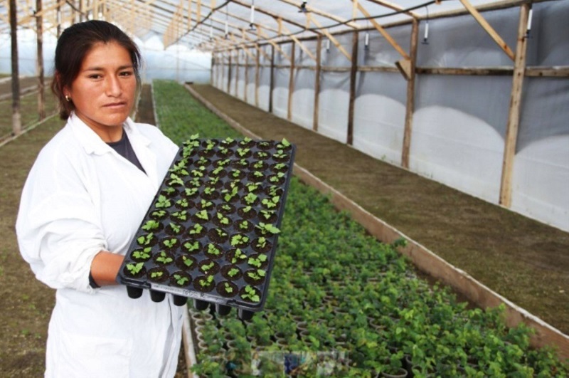 Produce financia hasta con S/ 1.5 mlls proyectos de innovación de empresas y universidades