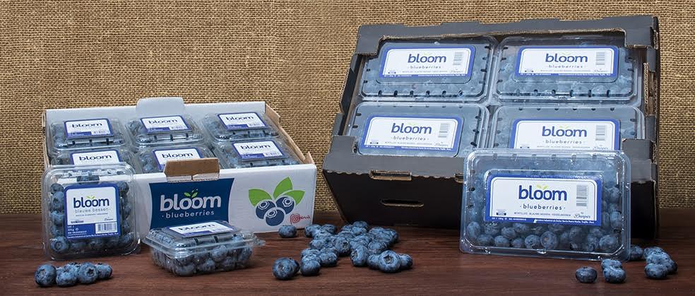 Trujillo: empresa Danper prevé cerrar el 2016 con facturación de US$ 150 millones