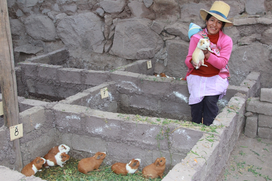 Midis amplía cobertura de proyectos sociales en zonas rurales con 88 millones de soles adicionales