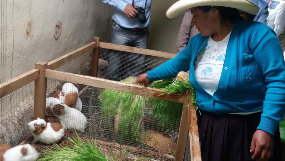 Foncodes ejecutó el 99.6% de su presupuesto en el 2017   