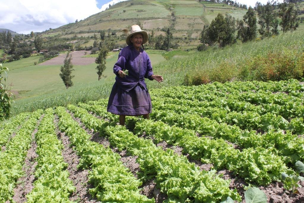 Santiago de Chuco: 400 hogares rurales mejoran sus capacidades productivas