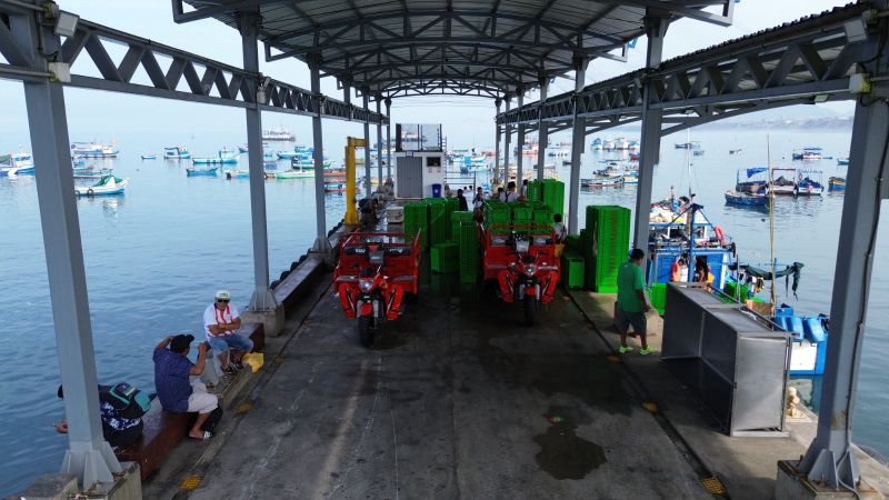  Nuevo DPA de Chancay registra más de 520 toneladas de desembarque de productos hidrobiológicos desde que fue inaugurado