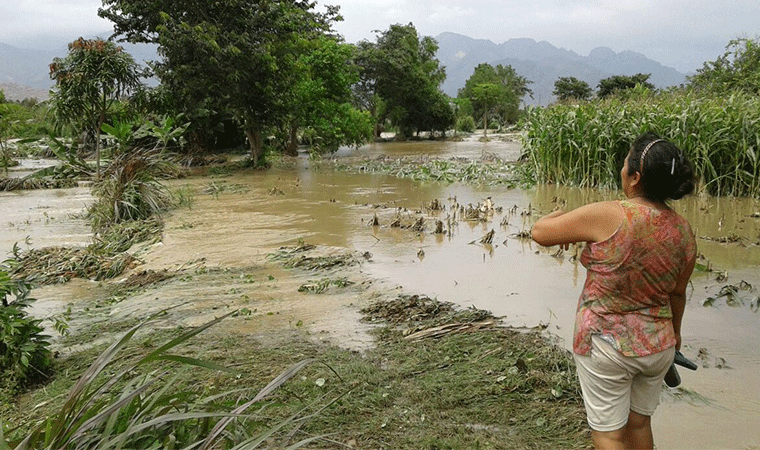 Destinan más de 13 millones de soles para seguro agrícola catastrófico