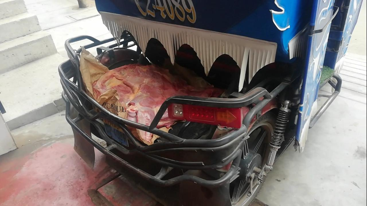 Encuentran carne de caballo y burro a punto de ser comercializada en El Porvenir