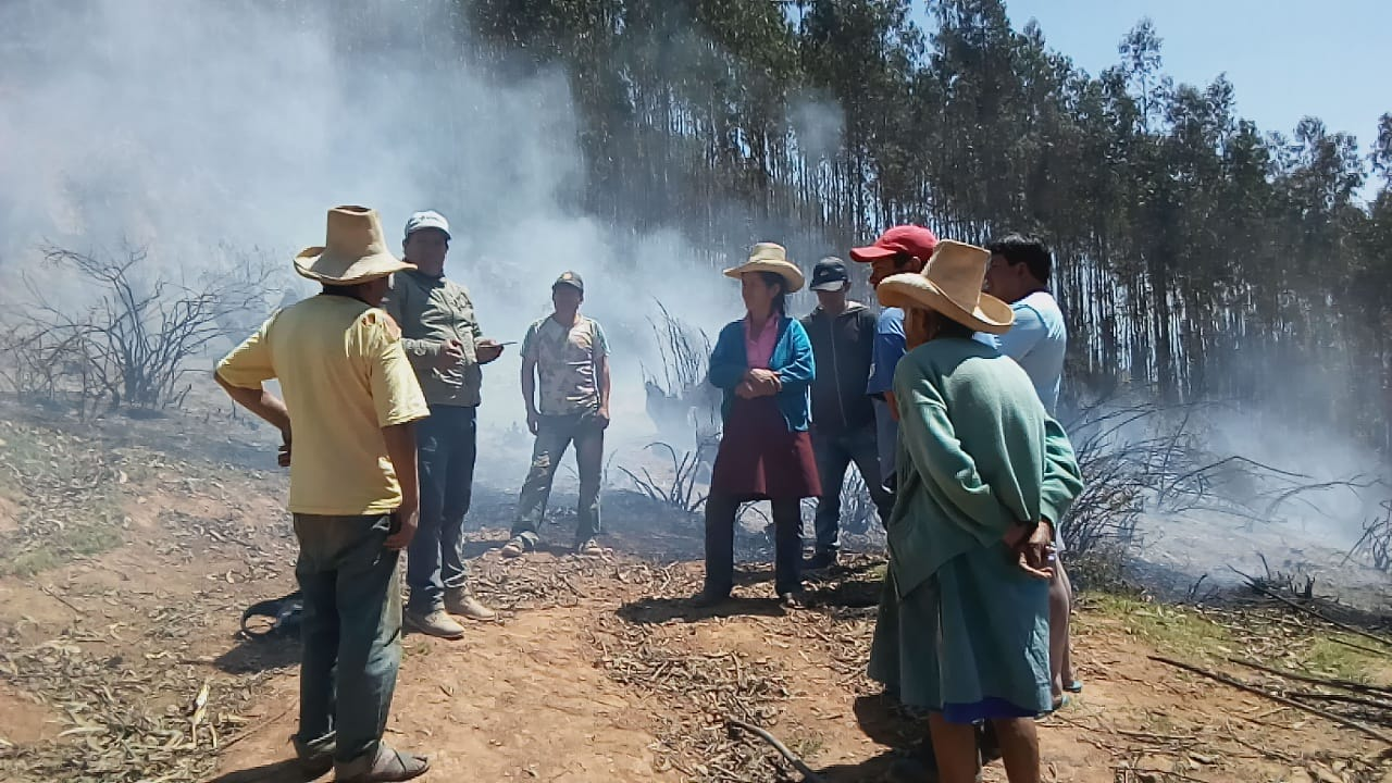 Otuzco: incendio forestal arrasa con más de 40 hectáreas de bosque 