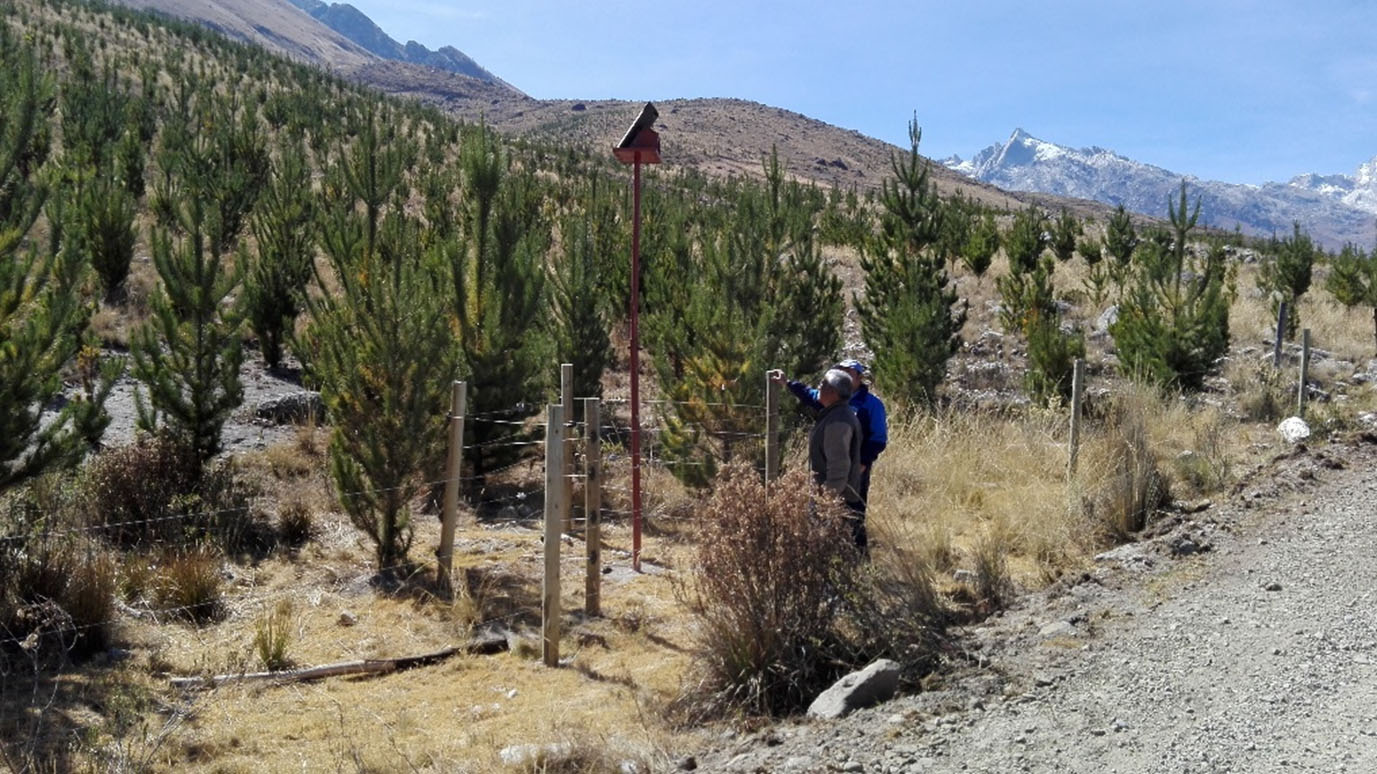 Promueven alianza estratégica que permitirá reforestar y proteger cuenca del río Santa