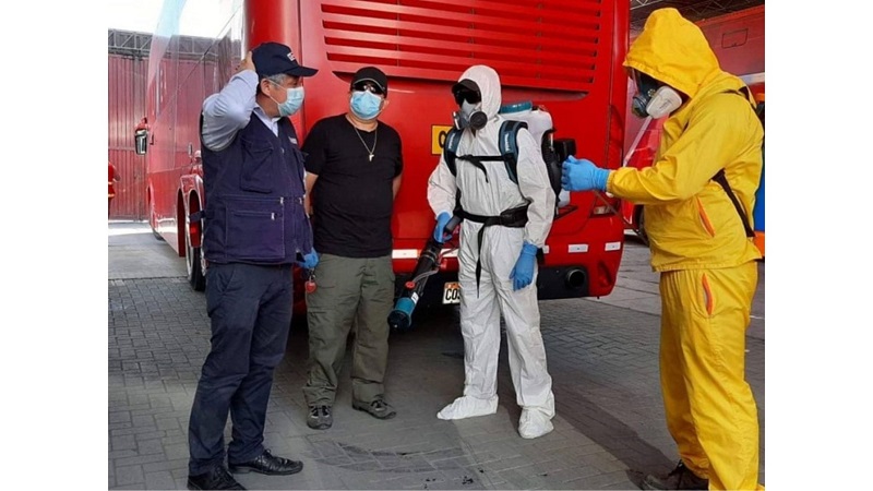 Regiones adoptan medidas para facilitar retorno de varados