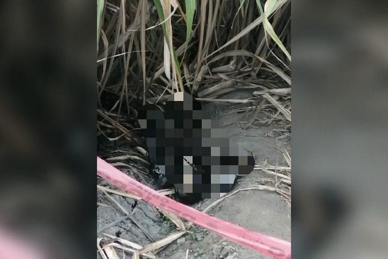 Encuentran restos carbonizados de hombre en distrito de Laredo