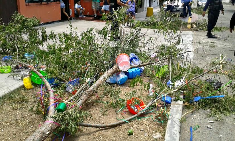 Retiran de la vía pública dos árboles talados utilizados como "palos cilulos"