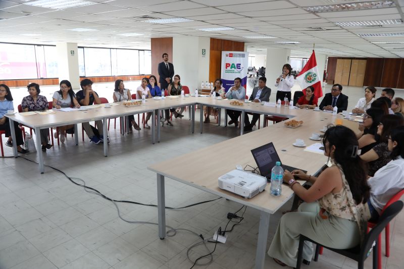 PAE invita a universidades públicas y privadas a formar parte del Programa de Voluntariado 2026 