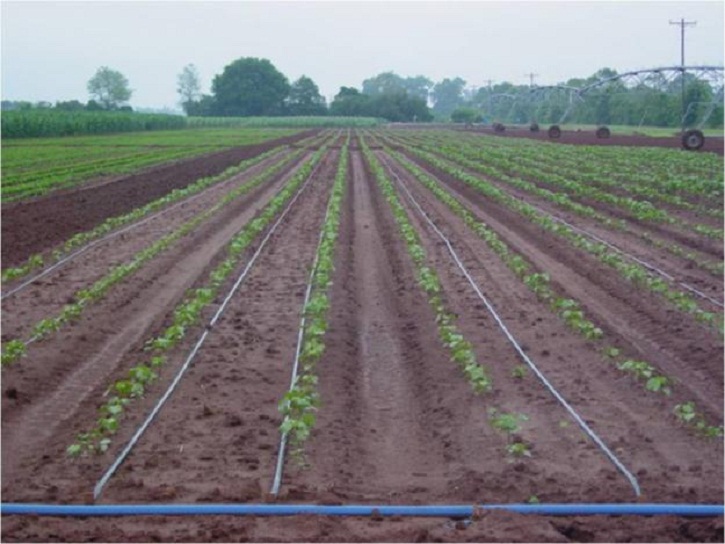 Con 320 millones de soles tecnificarán riego a nivel nacional