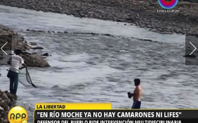 Aguas residuales están exterminando a las especies en el río Moche