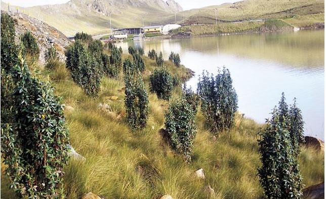  La Minería ilegal y aguas residuales están matando a tres ríos en La Libertad