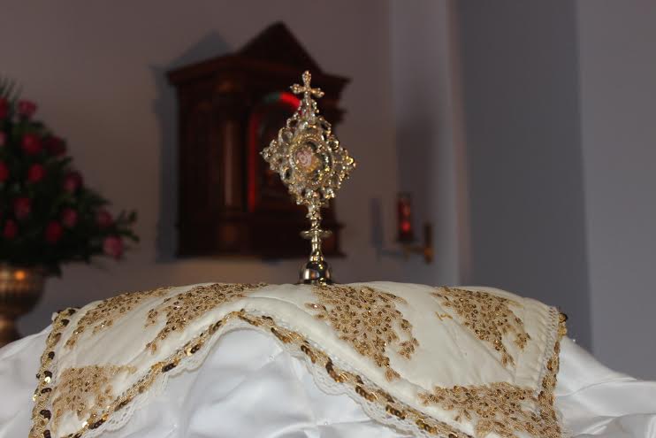 Sangre de San Juan Pablo II estará en el Congreso Nacional Misionero