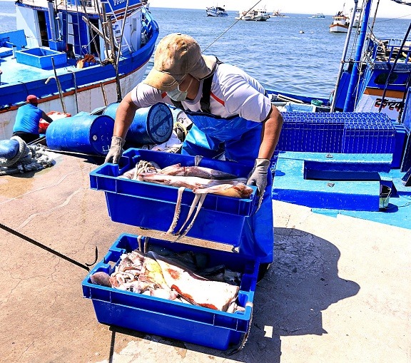 Sanipes emite medidas preventivas en pesca y acuícultura para hacer frente al Covid-19