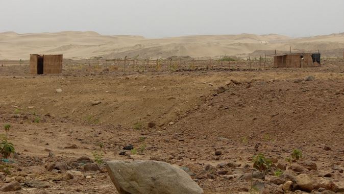 Dirección de Cultura recupera terreno invadido de Quebrada Santo Domingo