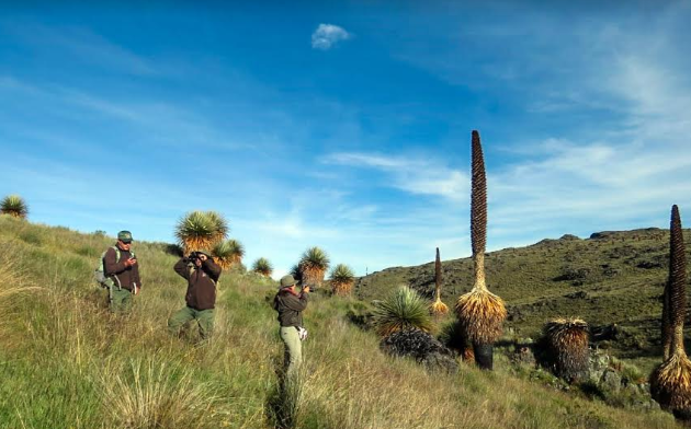 La Libertad: Santuario Nacional de Calipuy presente en el Global Big Day 2019