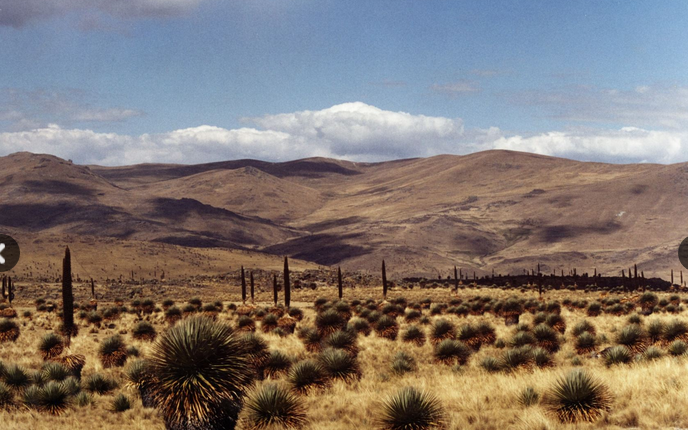 La Libertad: Sernanp aprobó proyecto de servicio turístico en reserva de Calipuy