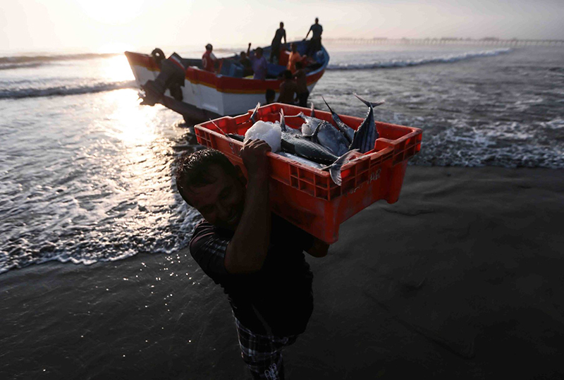 Se formalizaron 8100 nuevas embarcaciones pesqueras 