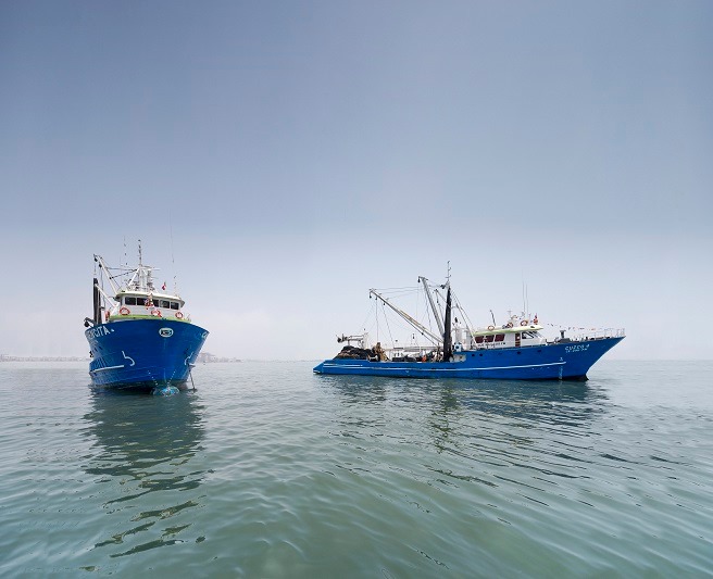 Sector pesquero apuntalará la economía peruana en el 2020, sostiene la SNP