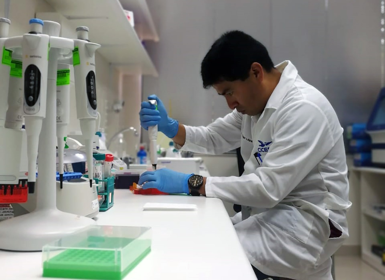 Chimbote: UNS logra secuencia completa del genoma de la Chita y el Lenguado para mejorar especies