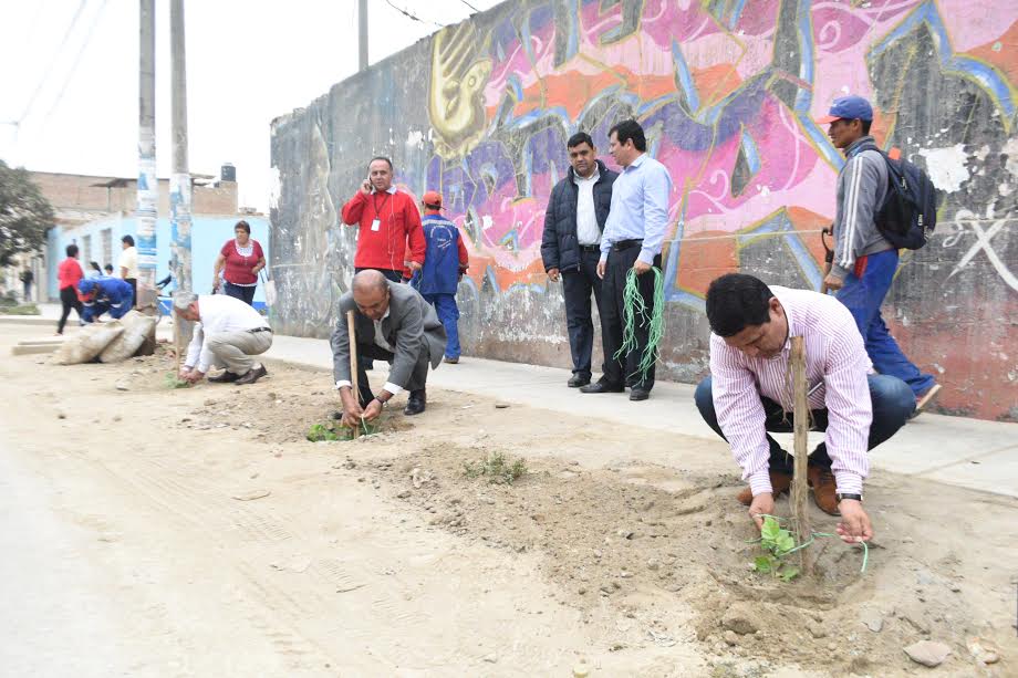 Víctor Larco: inician remozamiento del distrito con sembrado de 5 mil árboles de pino 