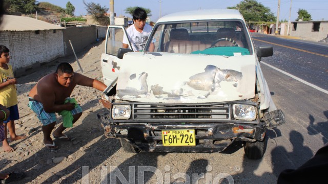 Piden señalizar reductor de velocidad de “El Hornito” donde se registran continuos accidentes