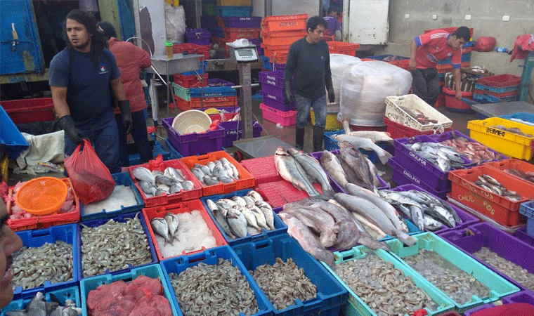 Víctor Larco: precio del pescado subirá el 20% en terminal pesquero