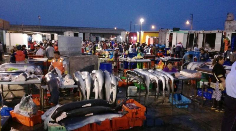 Trujillo: precio del pescado se incrementó en S/ 2 cada especie en mercados